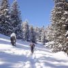 Skitour Rosswis