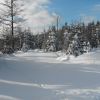 Langlauf Schauinsland